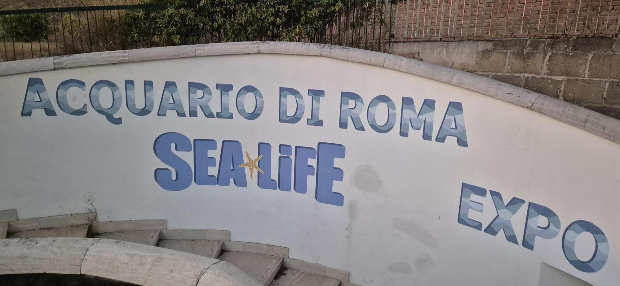 Eur Fenix Apartment Free Parking Family Rome Bagian luar foto